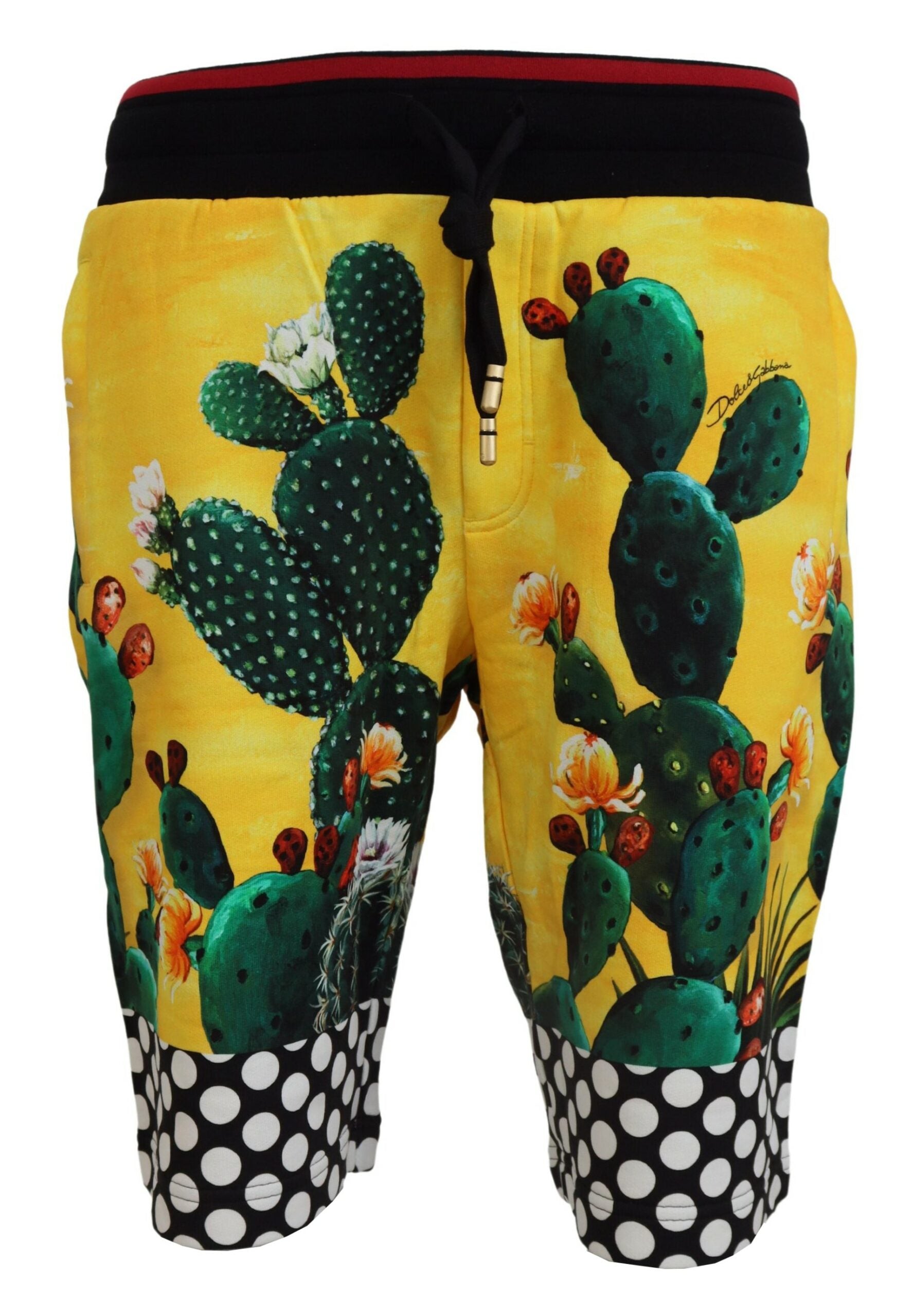 Dolce & Gabbana – Mehrfarbige Sweatshorts mit Kaktus-Print