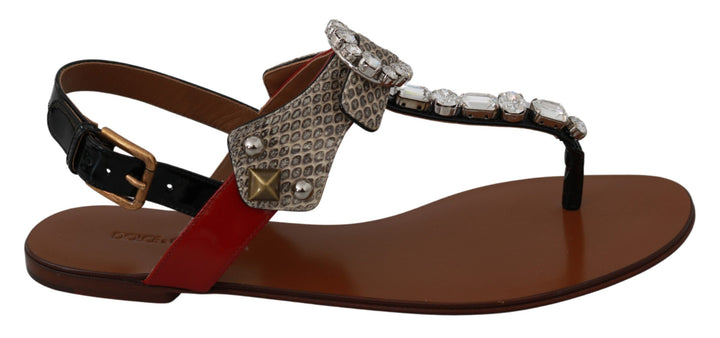 Dolce &amp; Gabbana Elegante Riemchensandalen mit exotischem Charme