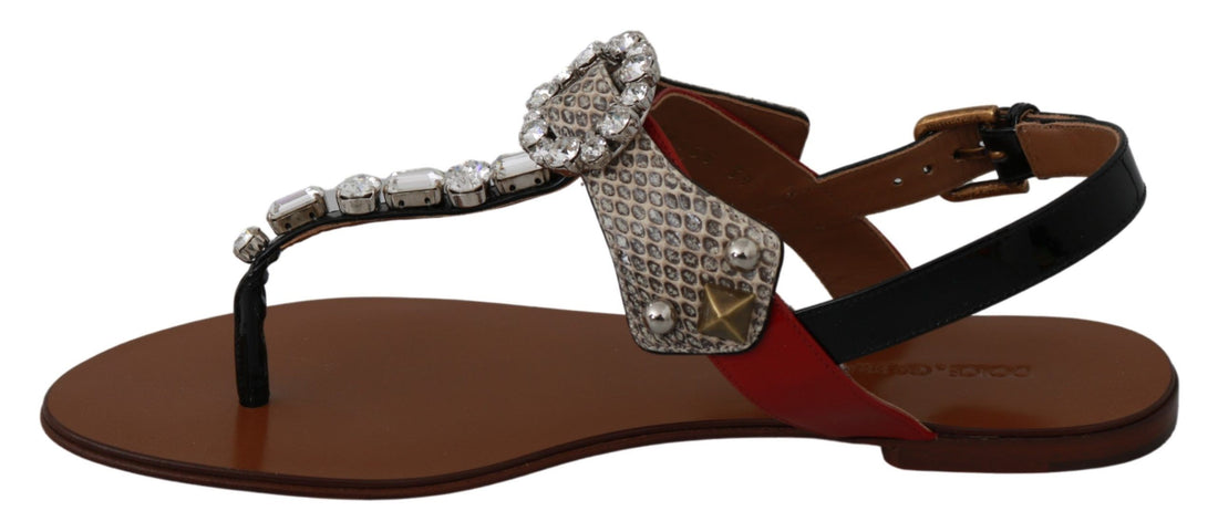 Dolce &amp; Gabbana Elegante Riemchensandalen mit exotischem Charme