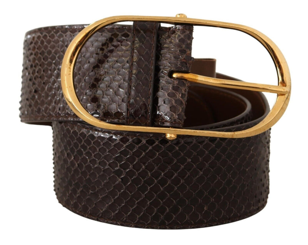 Dolce &amp; Gabbana Eleganter Pythonledergürtel mit goldener Schnalle