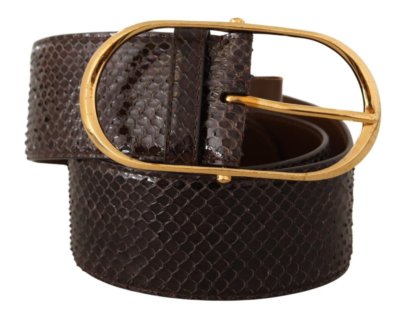Dolce &amp; Gabbana Eleganter Pythonledergürtel mit goldener Schnalle