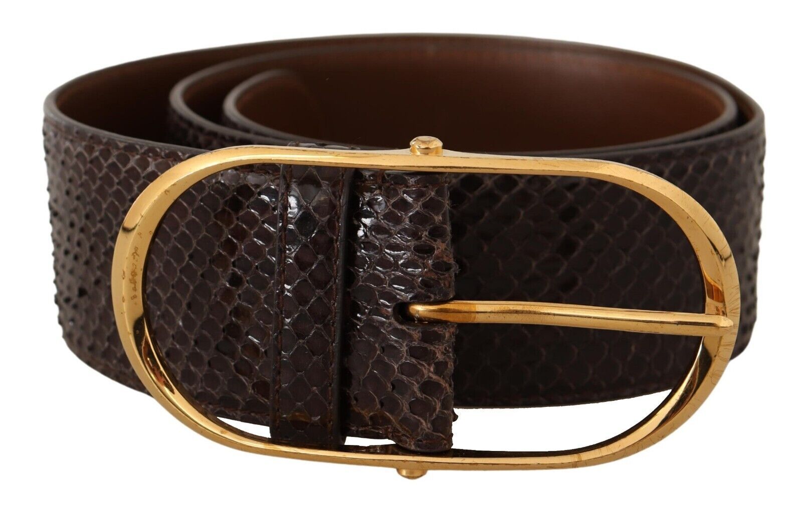 Dolce &amp; Gabbana Eleganter Pythonledergürtel mit goldener Schnalle