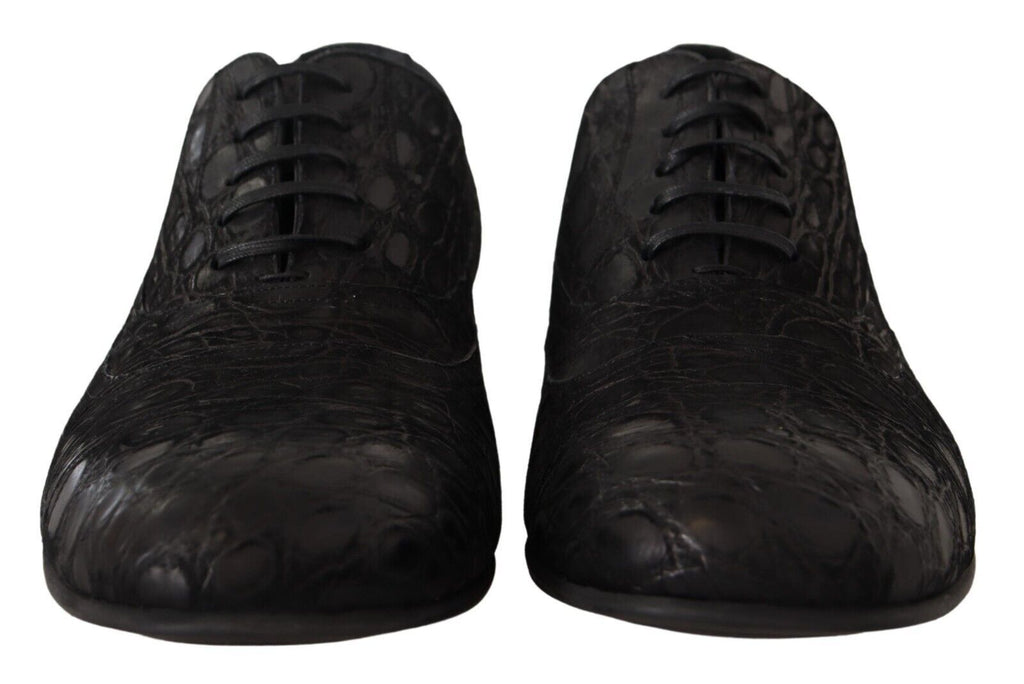 Dolce &amp; Gabbana Elegante Oxford-Schuhe aus exotischem Leder