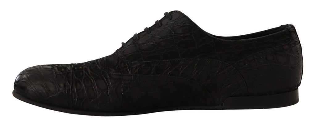 Dolce &amp; Gabbana Elegante Oxford-Schuhe aus exotischem Leder