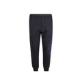 Alexander McQueen Cotton Logo Sweatpants – Siebentaschen