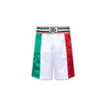 Dolce & Gabbana Satin Shorts – Siebentaschen