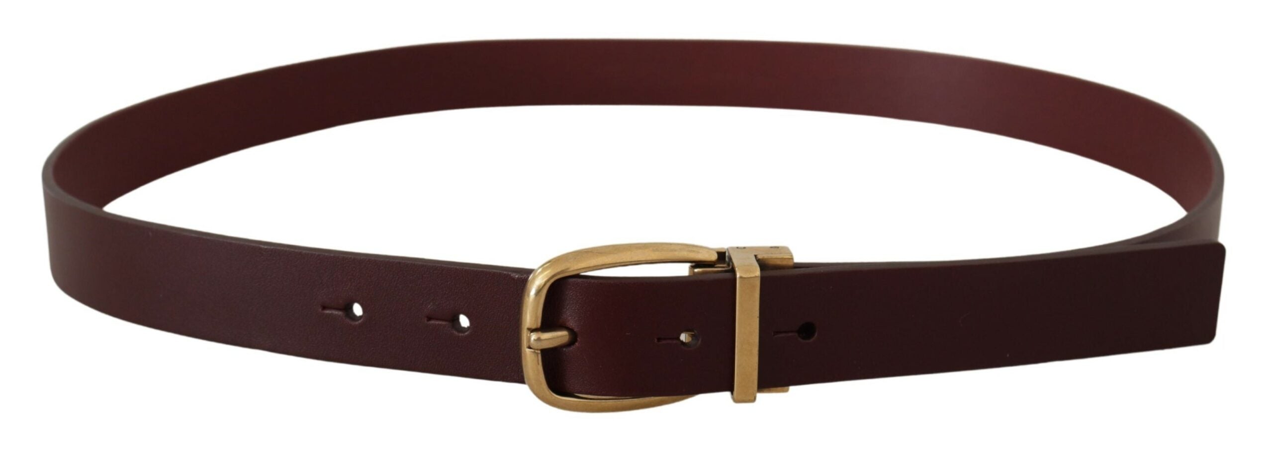 Dolce &amp; Gabbana Eleganter brauner Ledergürtel mit goldener Schnalle