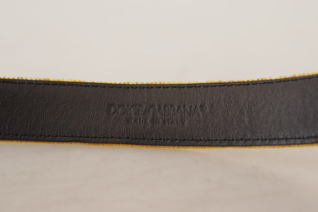 Dolce &amp; Gabbana Eleganter Samtgürtel mit goldener Schnalle für Damen