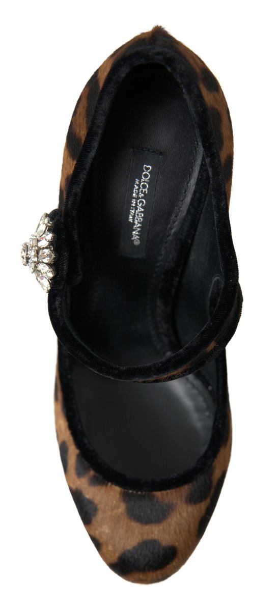 Dolce &amp; Gabbana Elegante Pumps mit Leopardenmuster für schicke Eleganz