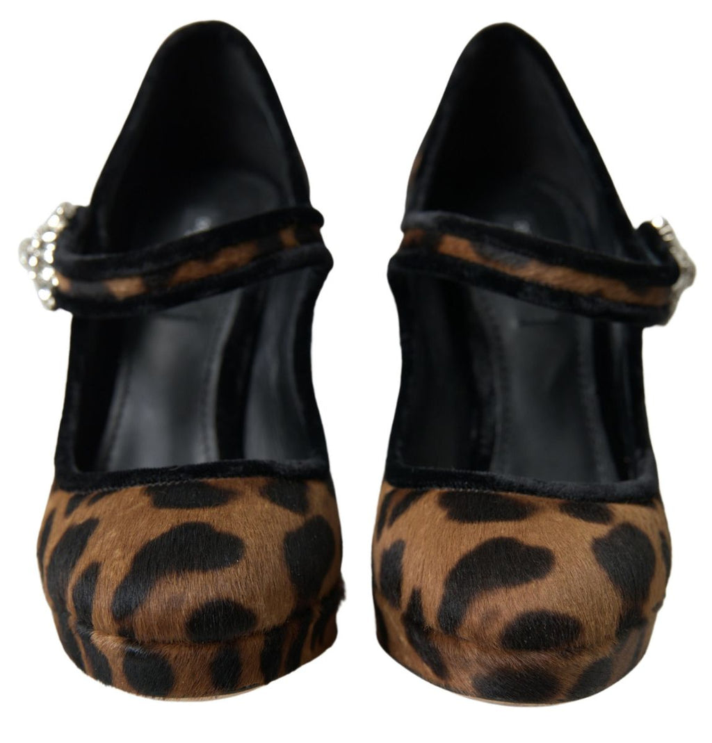 Dolce &amp; Gabbana Elegante Pumps mit Leopardenmuster für schicke Eleganz