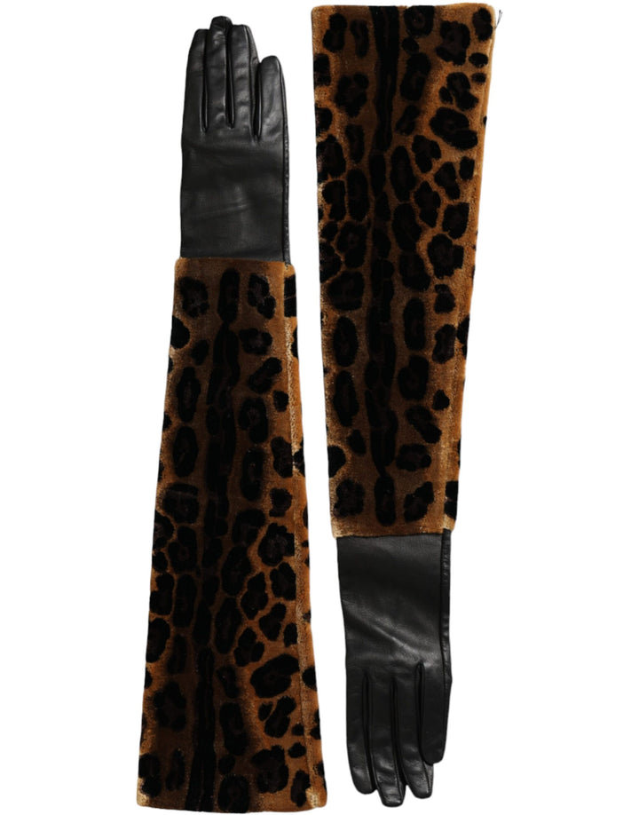 Dolce &amp; Gabbana – Ellenbogenlange Handschuhe aus braun-schwarzem Leopardenleder