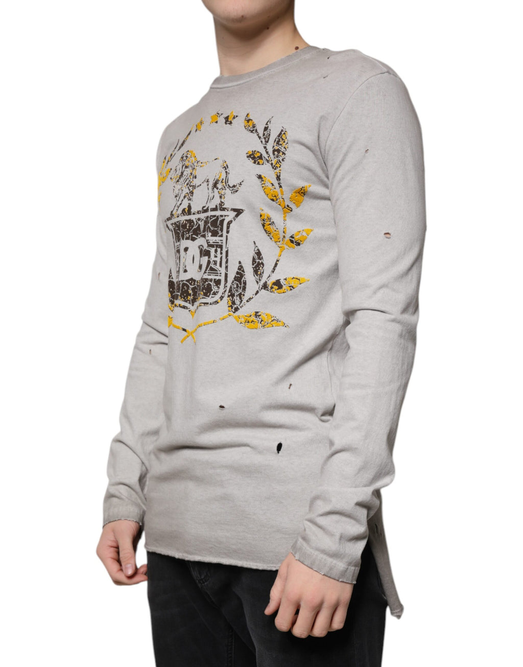 Dolce &amp; Gabbana Grau bedruckter Pullover aus Baumwolle mit Rundhalsausschnitt