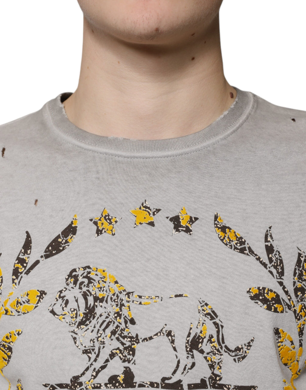 Dolce &amp; Gabbana Grau bedruckter Pullover aus Baumwolle mit Rundhalsausschnitt