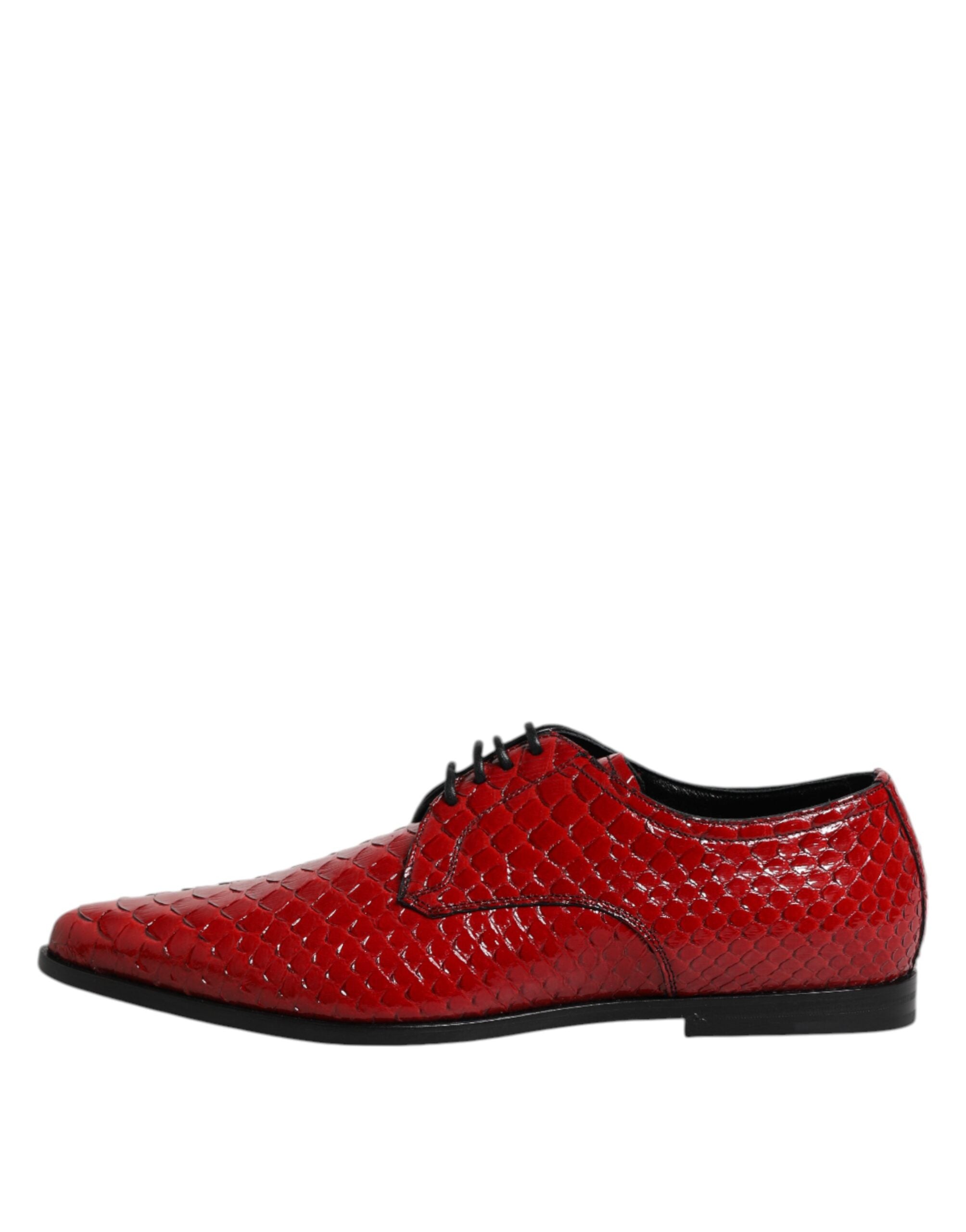 Dolce &amp; Gabbana – Rote Derby-Schuhe aus exotischem Leder mit Schnürung