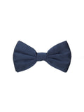 Dolce & Gabbana Blue Silk Bow Tie