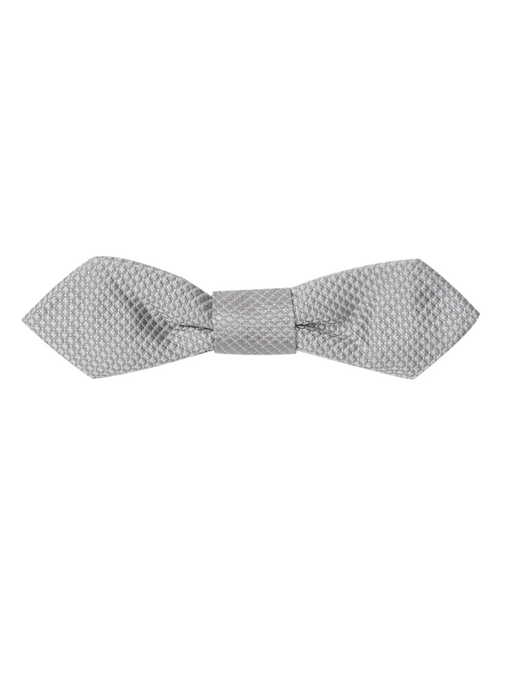 Dolce & Gabbana Silver Silk Embroidery Bow Tie