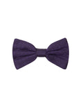 Dolce & Gabbana Purple Silk Bow Tie