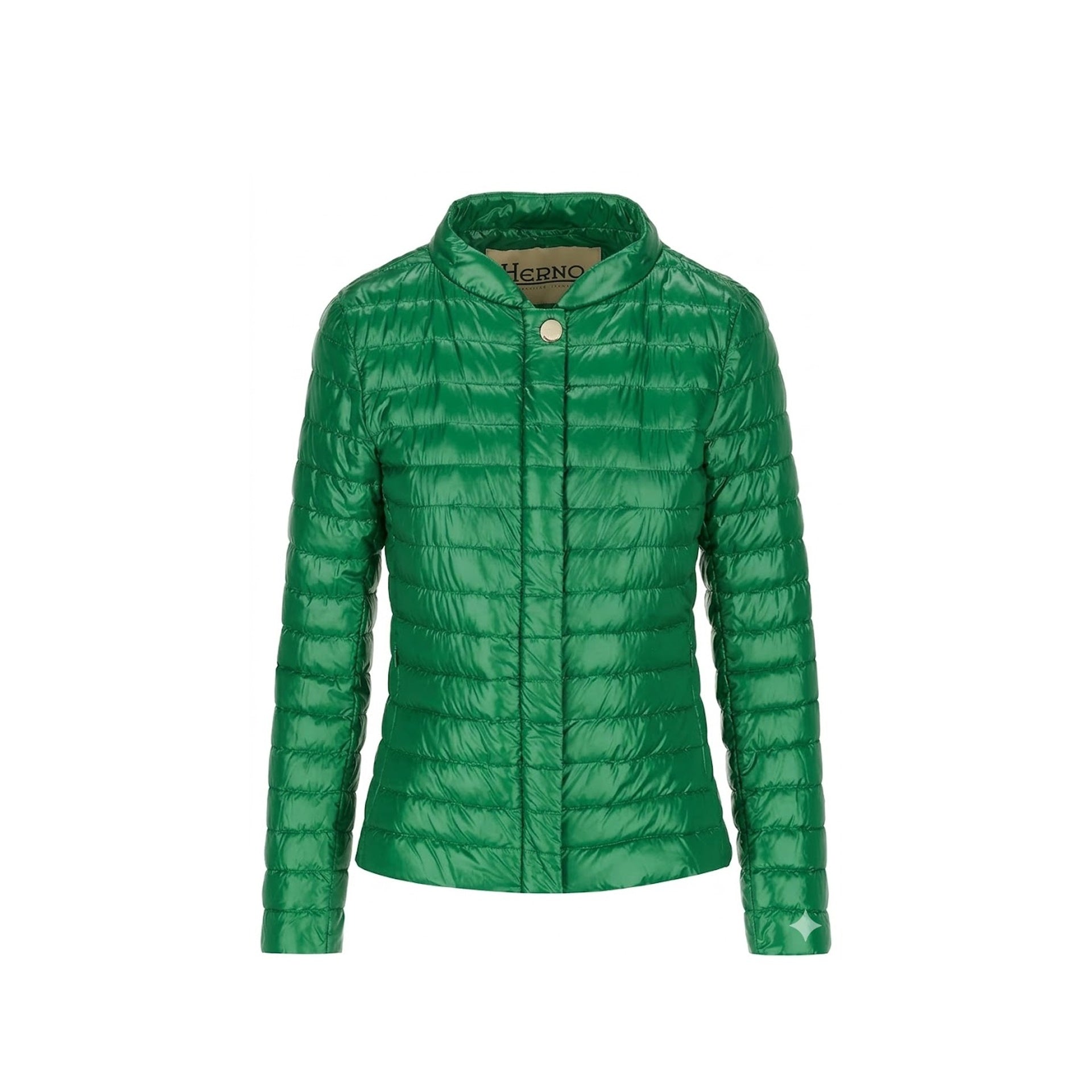 Herno Down Jacket