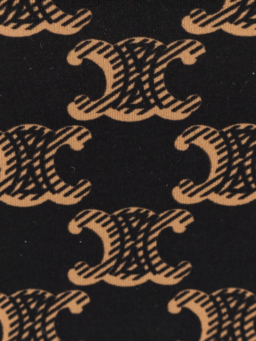 Celine Bikini slip with Triomphe print