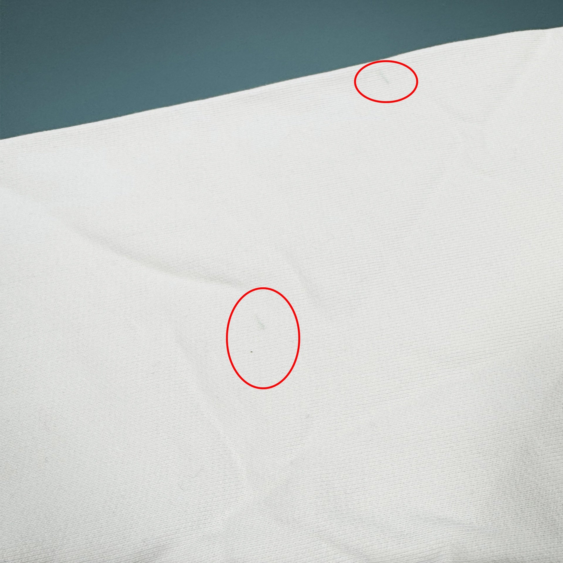 Heron Preston Beware Of Dog Cotton Sweatshirt