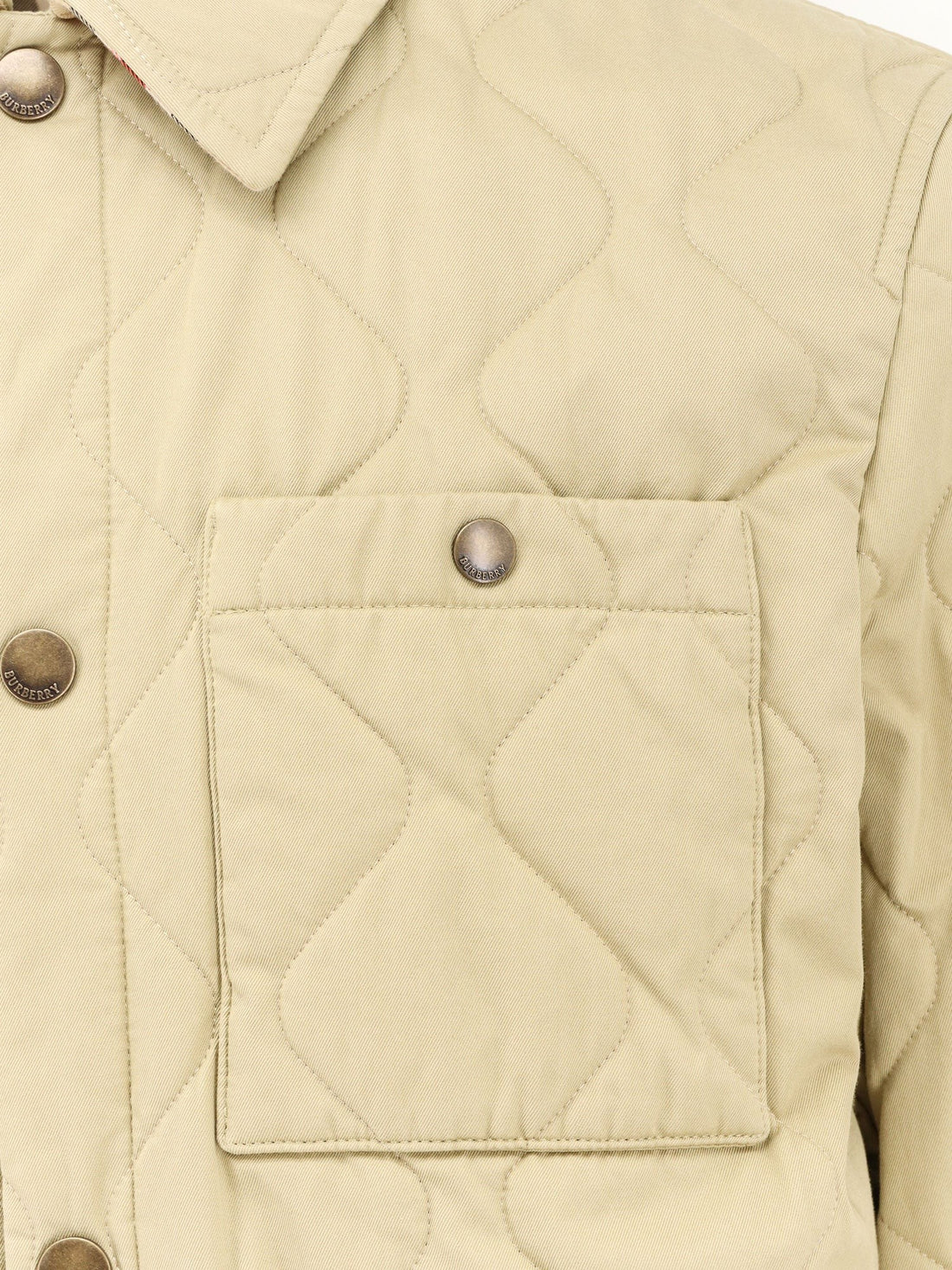 Burberry Cotton padded jacket