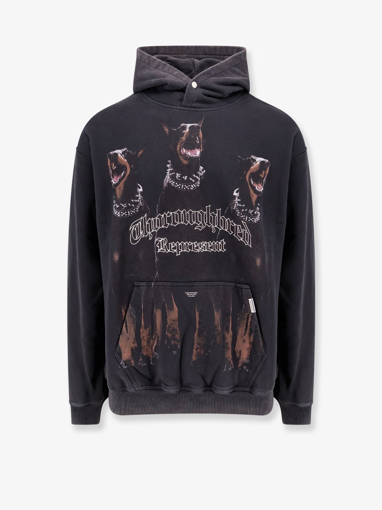 Represent Cotton sweatshirt with Thoroughbred print