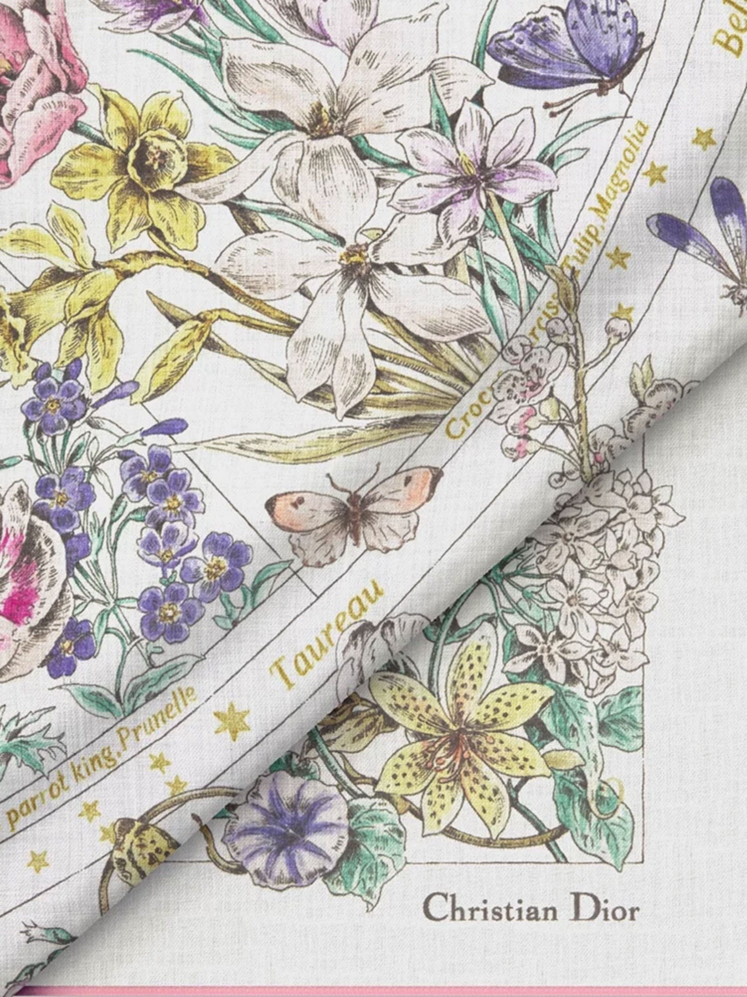 Dior Dior Astral Flowers cashmere shawl