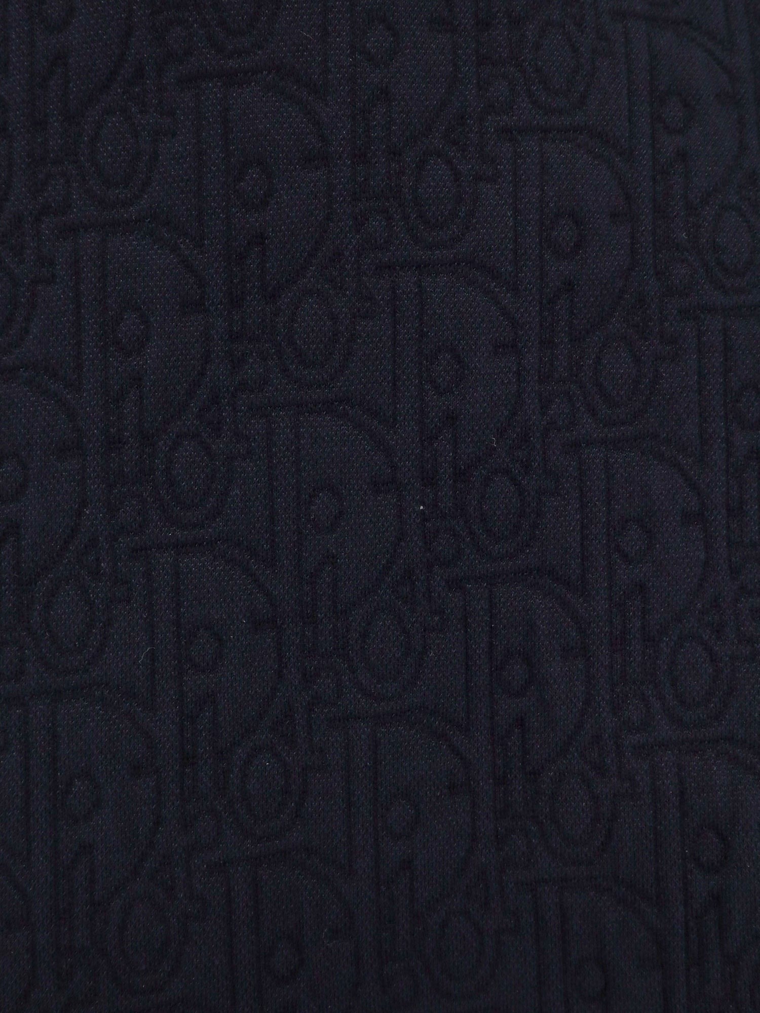 Dior Dior Oblique hooded sweatshirt