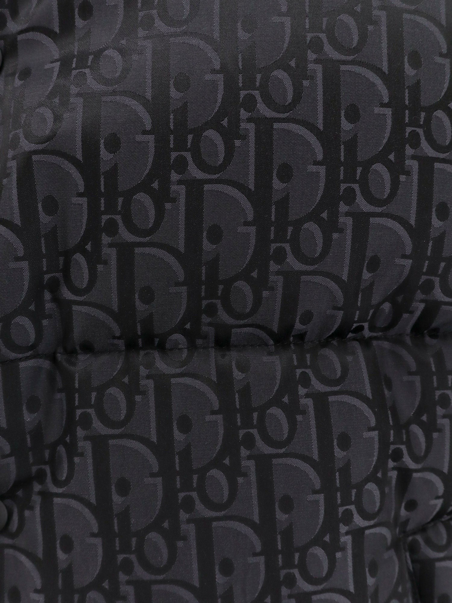 Dior Dior Oblique sleeveless jacket