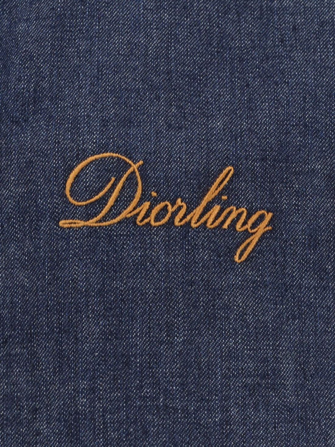 Dior Diorling denim jacket