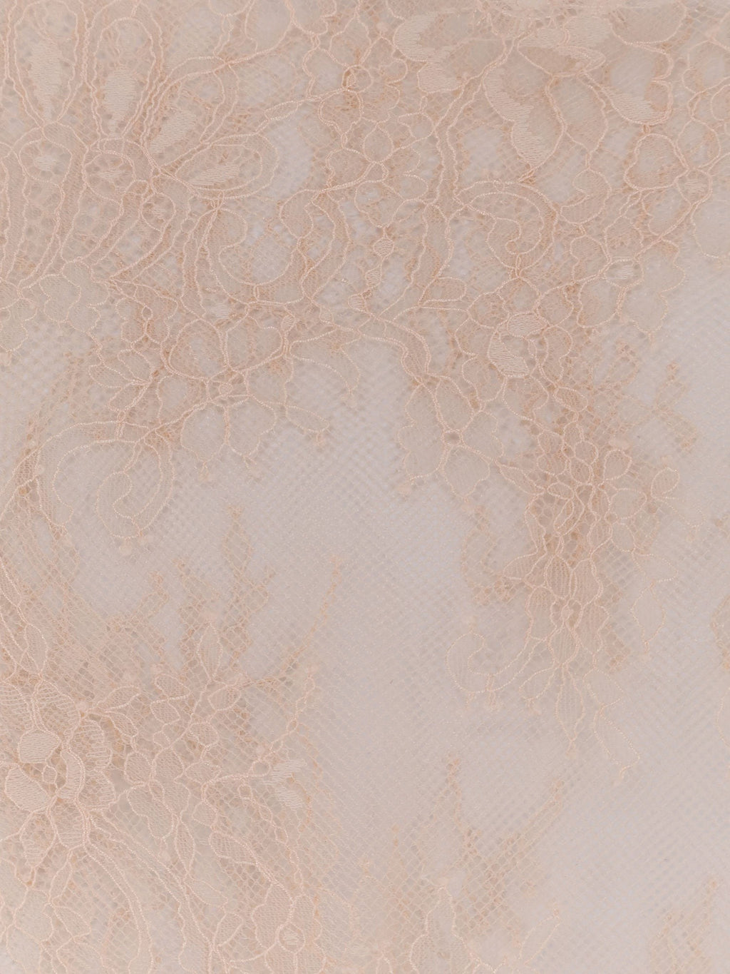 alberta ferretti Lace shirt