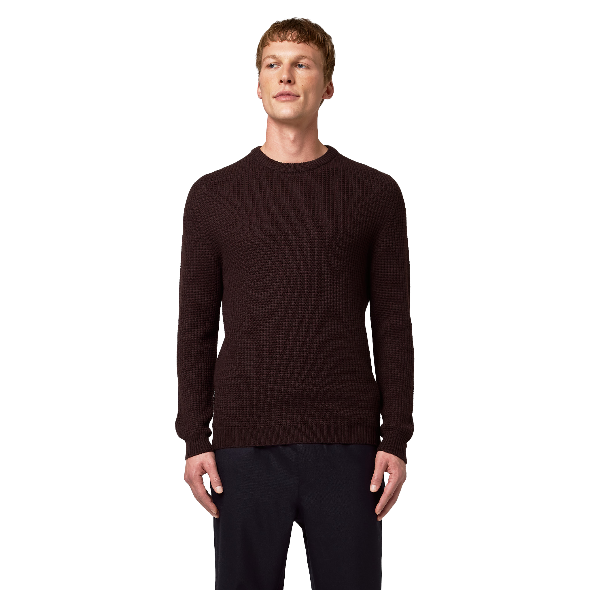 Alpha Studio Man Brown Sweaters