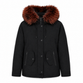 Moose knuckles Woman Jacket Canvas Black