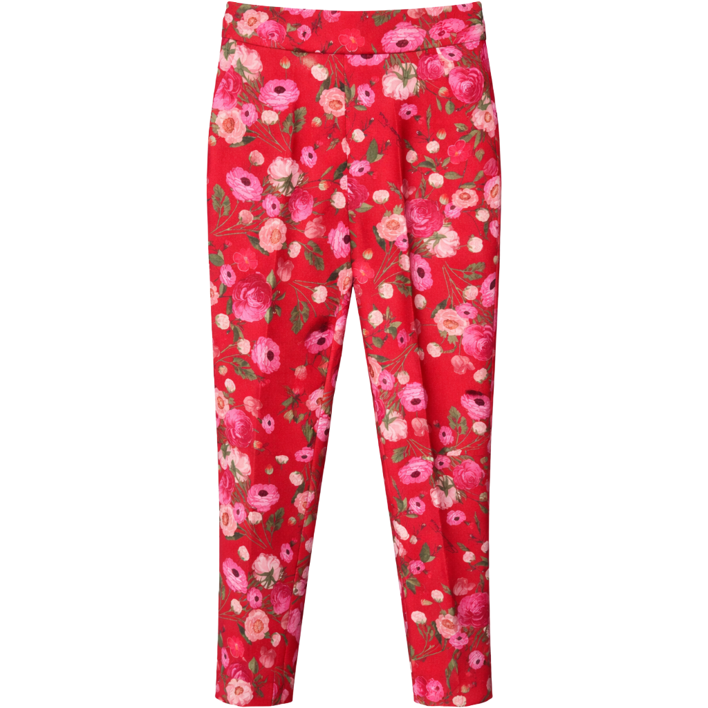 Elisabetta Franchi Trousers Print Floreale
