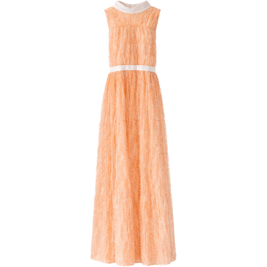 Elisabetta Franchi Dress Lace