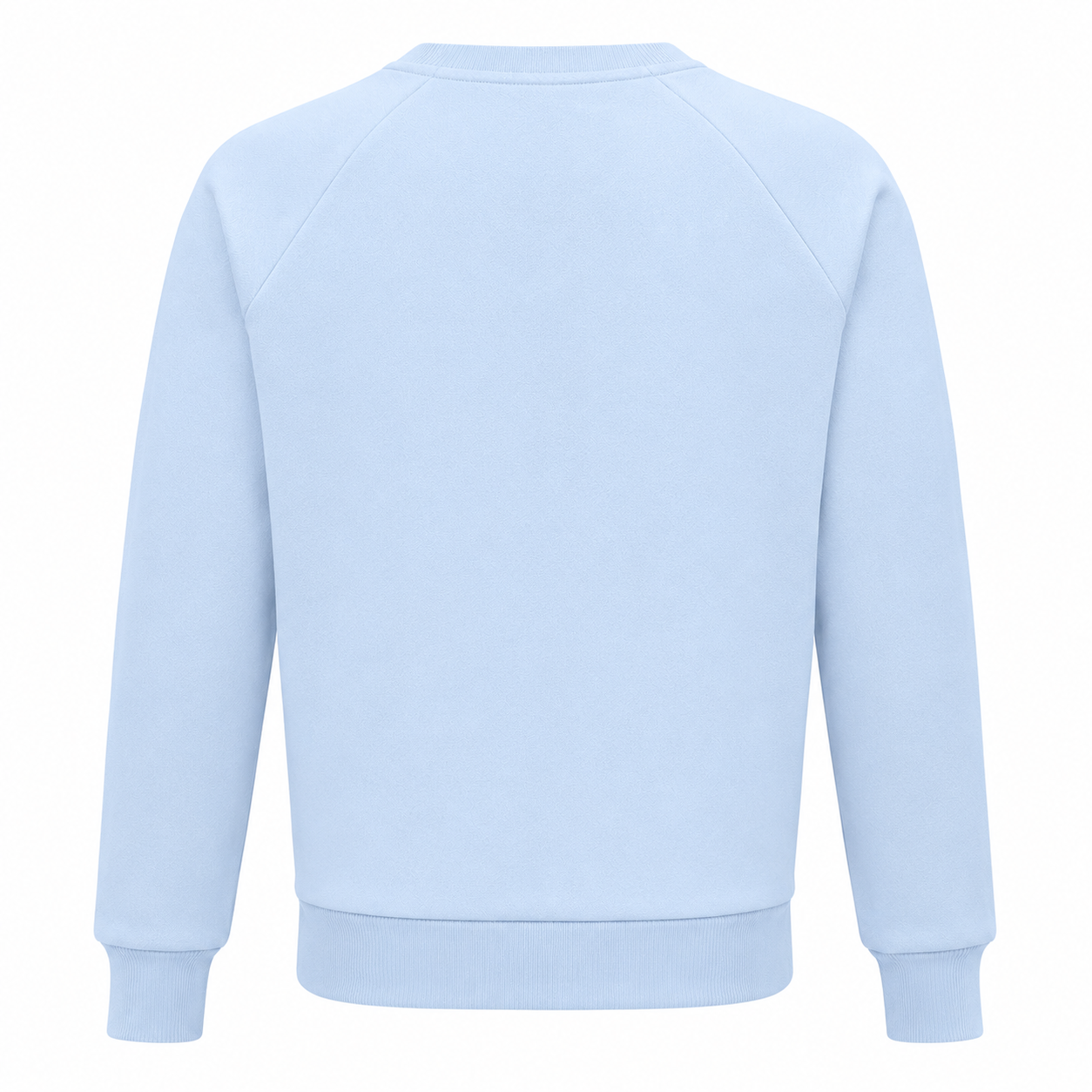 Balmain Man Light Blue Sweatshirts