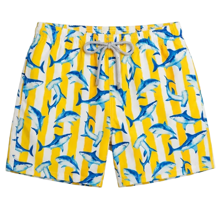 gustavia blue shark