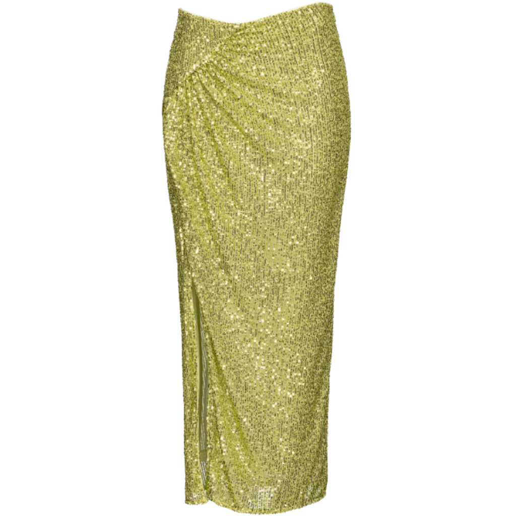 Pinko Woman Skirt Linz Green