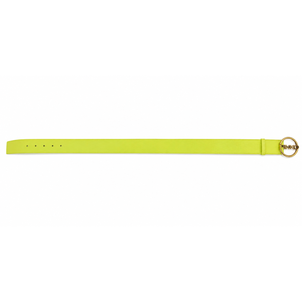 Pinko Woman Belt Dollarino Rigenerato Green