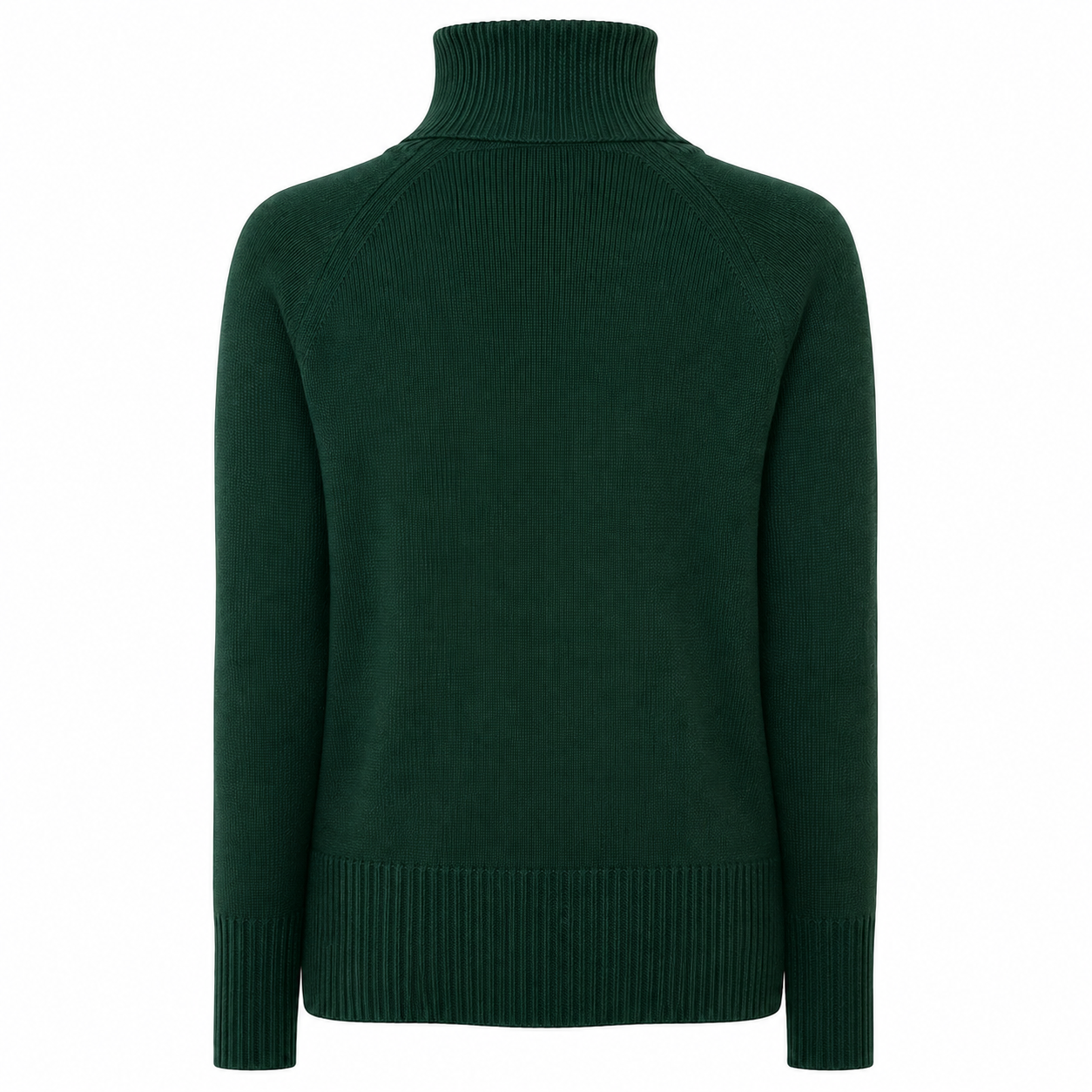 Emilio Romanelli Woman Turtleneck Green Bottiglia Beige
