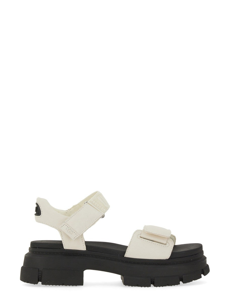 sandal-ashton
