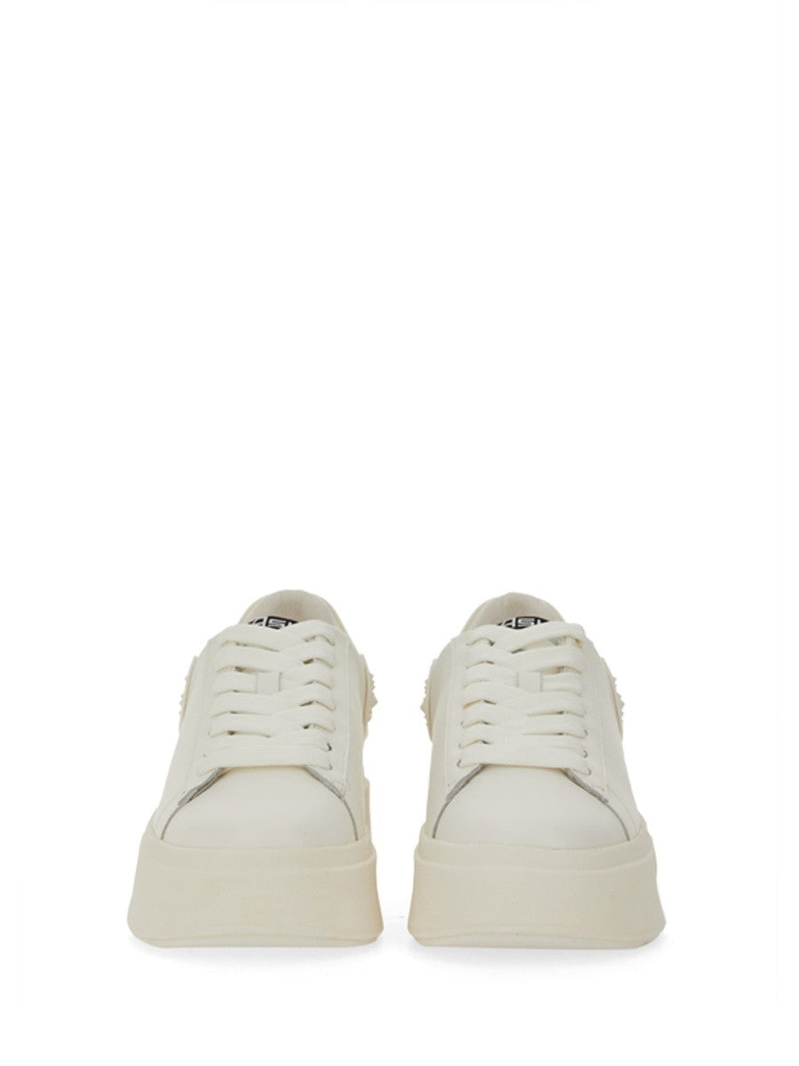 Ash SNEAKER "MOBY"