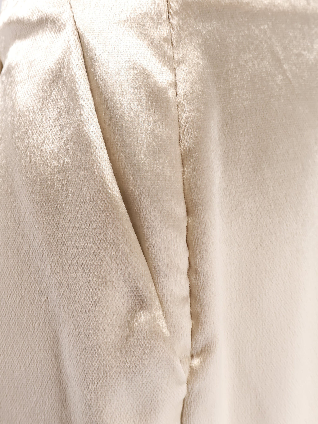 alberta ferretti Velvet trousers