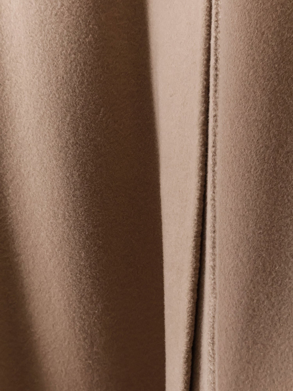 alberta ferretti Wool and cashmere cloth coat